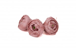 preserved-ranunculus-09.