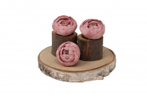 preserved-ranunculus-09.