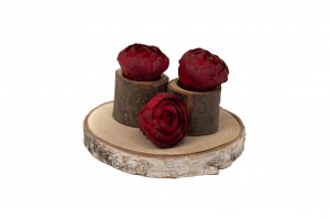 preserved-ranunculus-09.