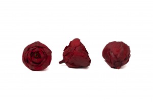 preserved-ranunculus-09.
