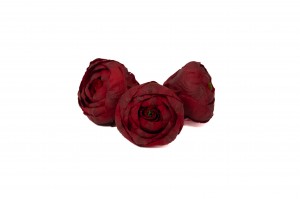 preserved-ranunculus-09.
