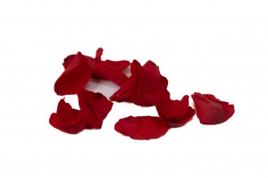 preserved-rose-petals-09.