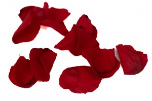 preserved-rose-petals-09.