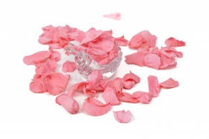 preserved-rose-petals-09.