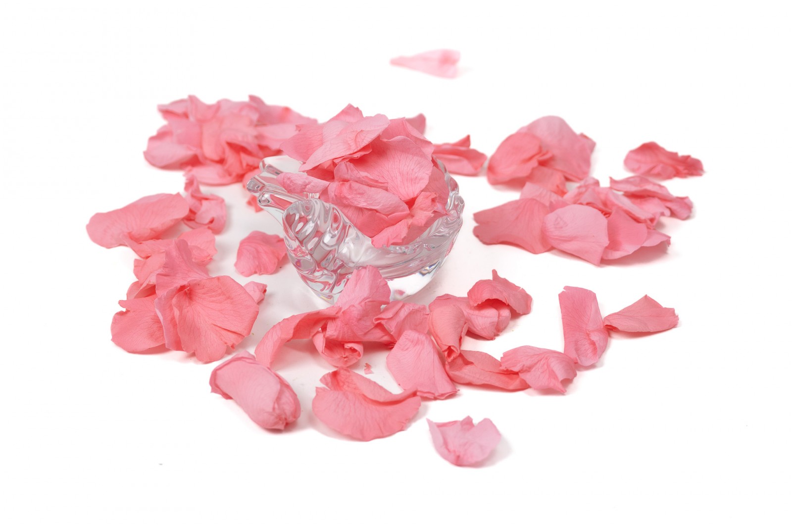 preserved-rose-petals-09