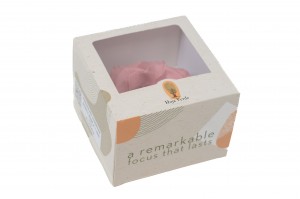 preserved-anemone-09.