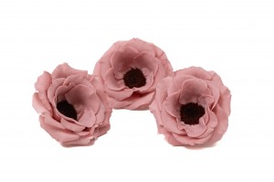 preserved-anemone-09.