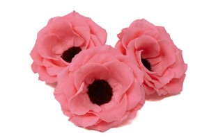 preserved-anemone-09.