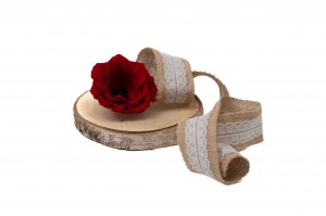 konservierte-anemone-09.