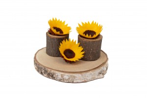 preserved-sunflower-heads-box-of-6-09.