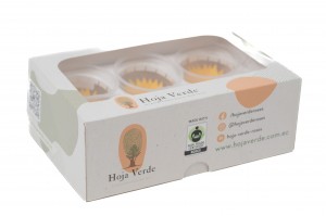 preserved-sunflower-heads-box-of-6-09.