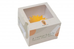 preserved-sunflower-head-09.