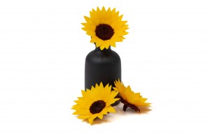 preserved-sunflower-head-09.