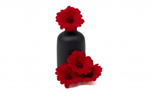 preserved-calendula-09.