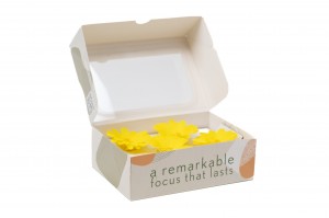 preserved-calendula-09.
