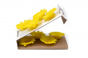 preserved-calendula-09.