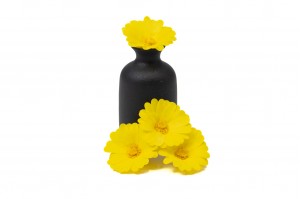 preserved-calendula-09.