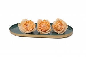 preserved-rose-heads-09.
