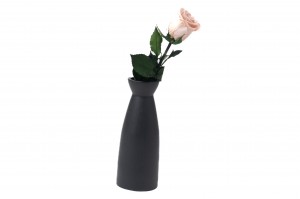 preserved-rose-stem-and-sepal-09.