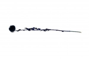chardon-stabilise-29.