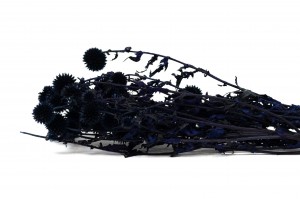 preserved-thistle-29