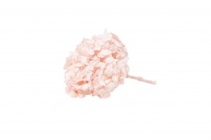 preserved-kiara-hydrangea-37.