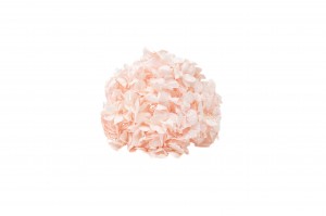 preserved-kiara-hydrangea-37.