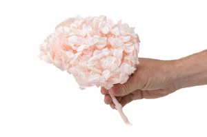 preserved-kiara-hydrangea-37.