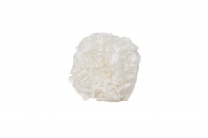 preserved-kiara-hydrangea-37.