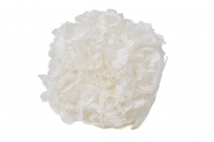 preserved-kiara-hydrangea-37.