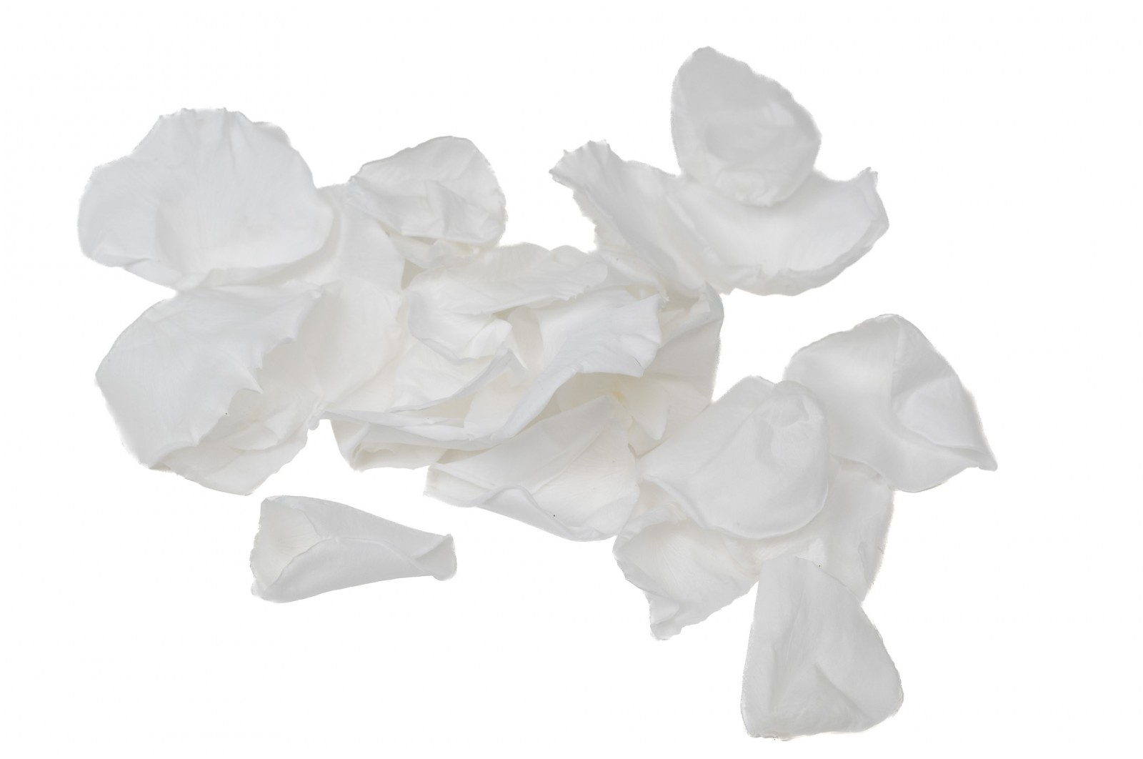 Preserved Rose petals Kiara (37) preserved-rose-petals-kiara-37