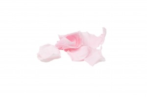 preserved-rose-petals-kiara-37.