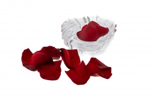 preserved-rose-petals-kiara-37.