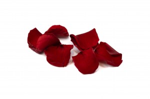preserved-rose-petals-kiara-37.