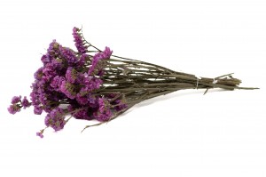 dried-statice-sinuata-18.