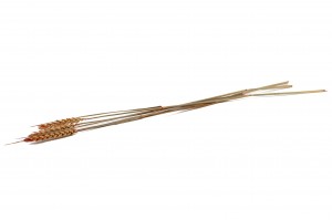 trockene-gerste-18.