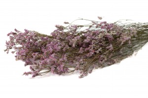 dried-limonium-18