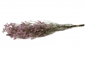 getrocknete-limonium-18.