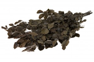 stabilisierte-buche-11.