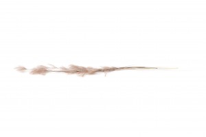 plumeau-sec-8.