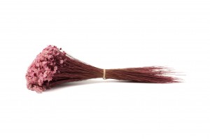 dried-glixia-8.