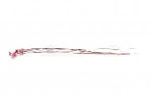 dried-glixia-8.