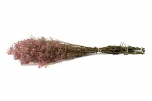 gypsophile-stabilise-8.