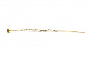 stabilisiert-lona-20.
