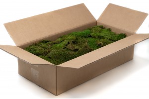 flache-trockenmoos-2-kg-8.