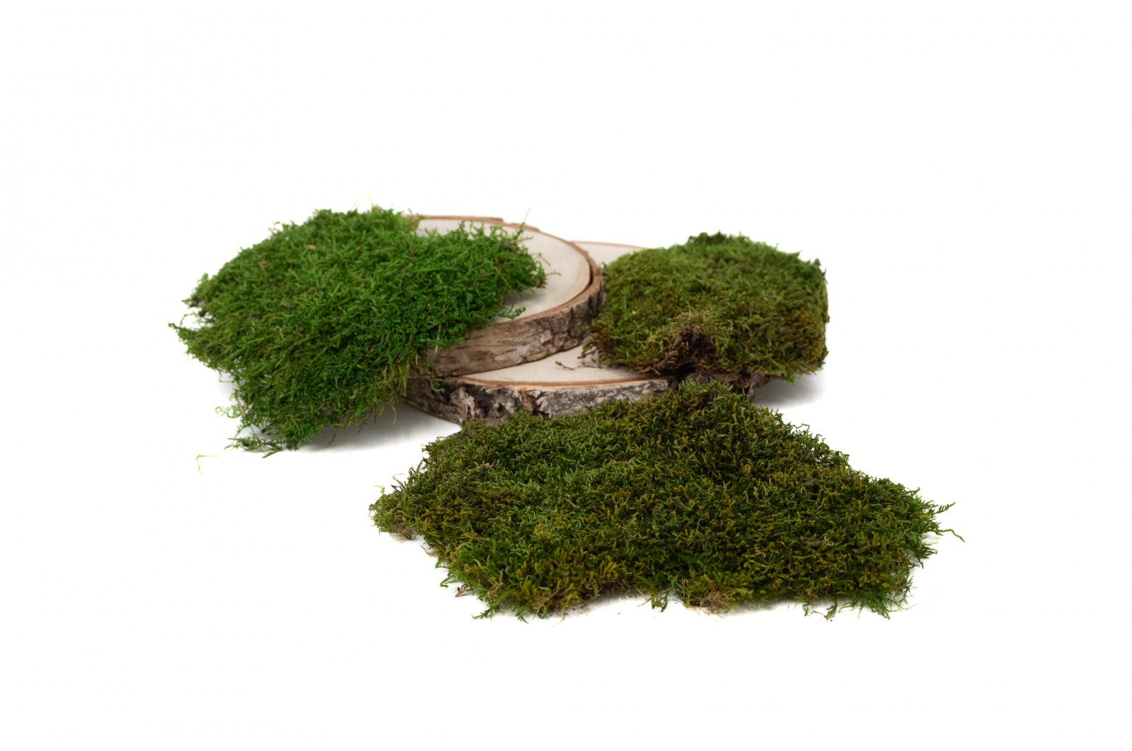 Dry flat moss 2 kg (8) dry-flat-moss-2-kg-8