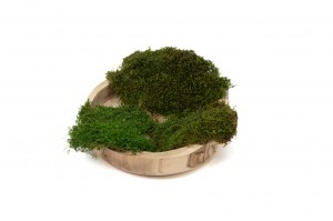 mousse-plate-seche-2-kg-8.