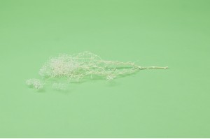 mini-gypsophile-sec-39.