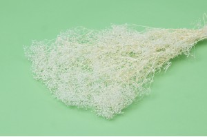 mini-gypsophile-sec-39