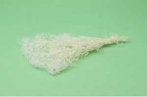 dried-mini-gypsophila-39.